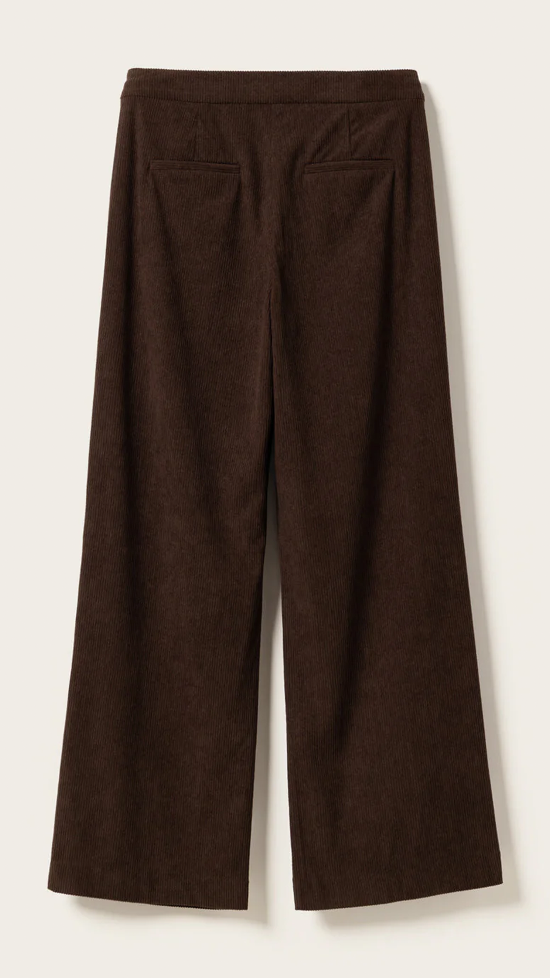 NOELLA Lusia Pants Chocolate