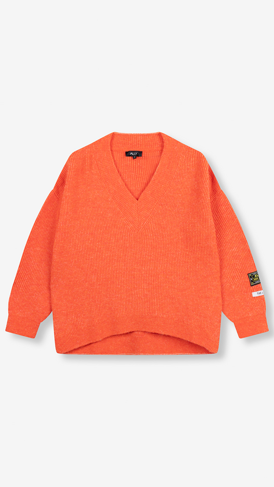 ALIX THE LABEL V-Neck Pullover